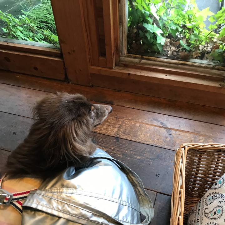 20af36fe 1bc2 43b1 b8b8 3d7699e0fb3d