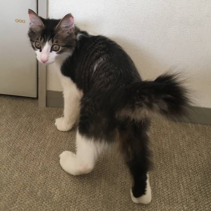 20af8ca1 7e33 42a6 90df 898aafcc21ac