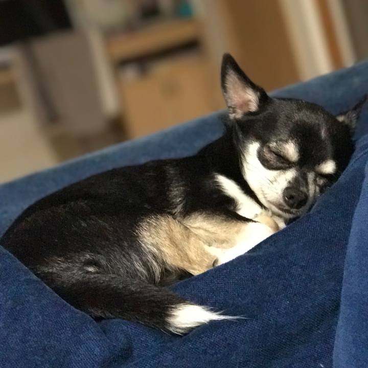 20afc1fd d2e2 4ef6 9ffe a7d3c2fca6fd