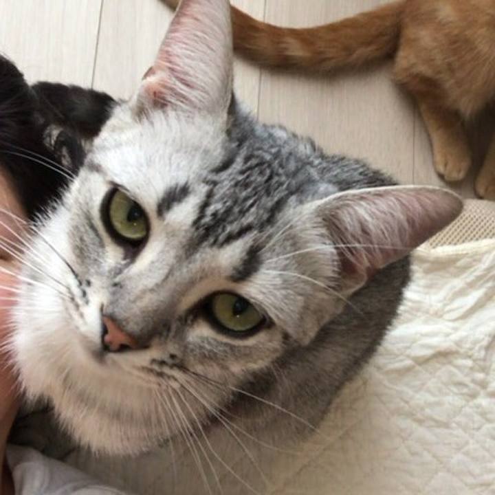 20b01062 55a6 4172 b9cc edd5981d4b57