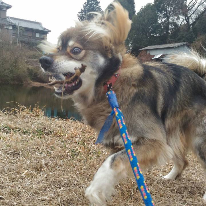 20b04780 54a9 4979 8b1c cbf5bc270f87