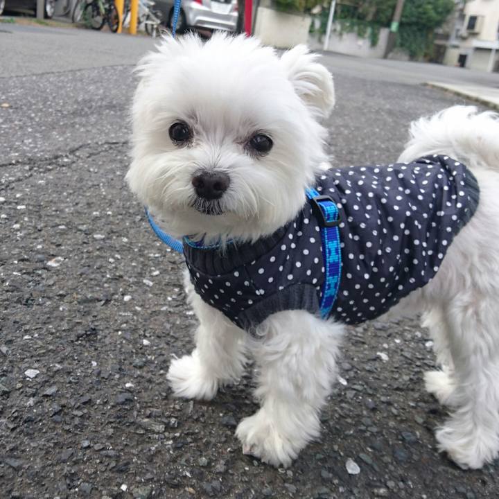 20b119d4 3a1c 40fa a3f2 207905ce8c8e