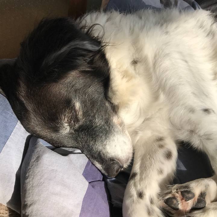 20b1a363 9a36 43ab b9dd 4abc9fa2c9bb