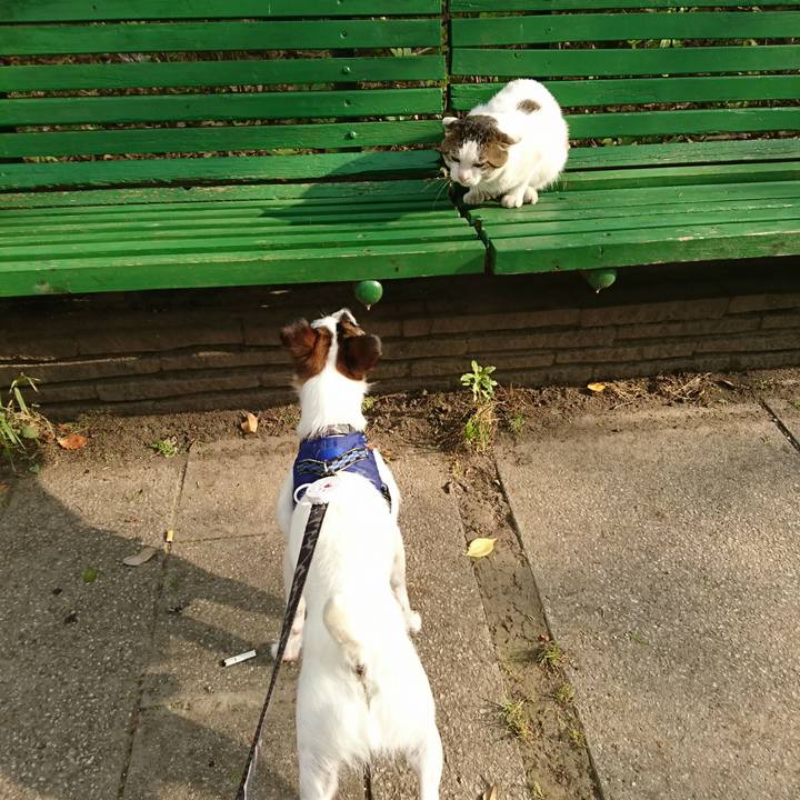 20b1cf07 5852 4b3a 88a5 05d1021fa40c