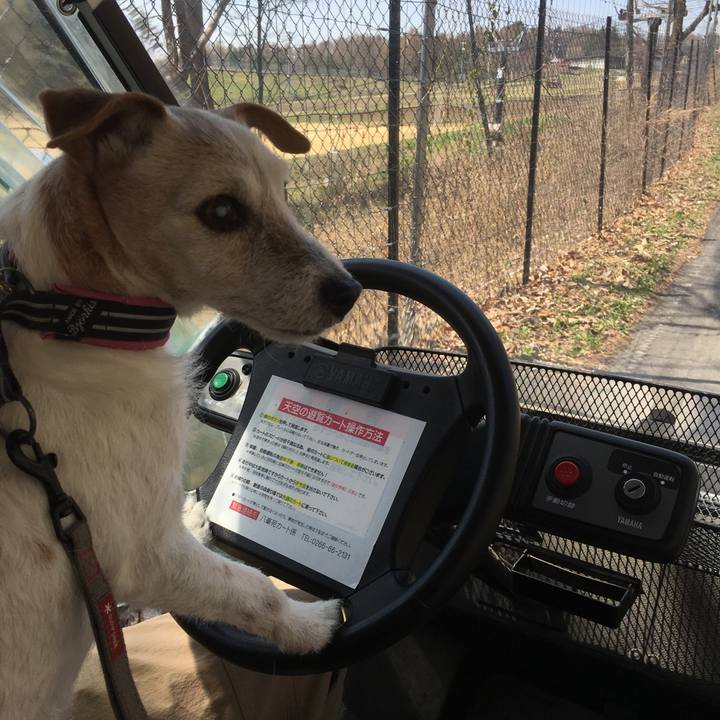 20b2082f cb13 4886 a6f4 e534d65da0e7