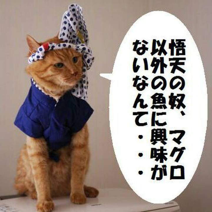 20b27ad7 a7fd 45db abf5 67782f55bf2f