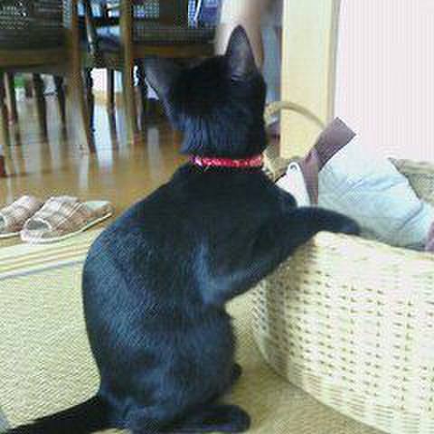 20b2bc9f ee9b 430a 8f61 f7003a6a65d7