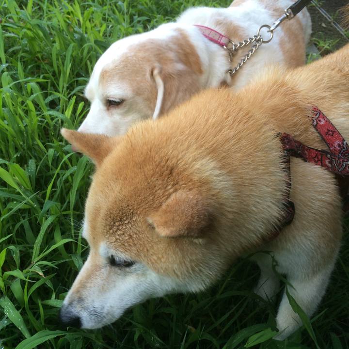 20b35e29 a6ac 4970 9f1c ddafcd720e97