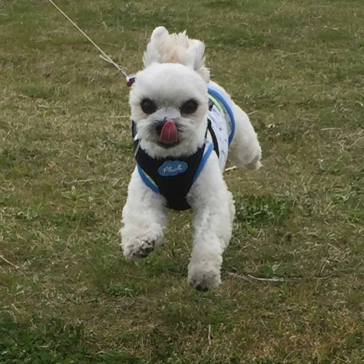 20b44a8a 05b3 4ca9 827c fc5ee4a36db4