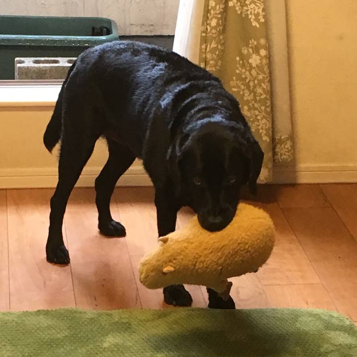 20b53a6a f5a8 41e1 888e 6cb18ede9bb2