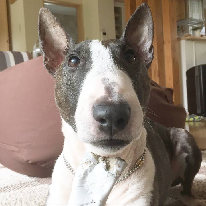 20b546e1 cd39 4928 b20a d0605de1eacd