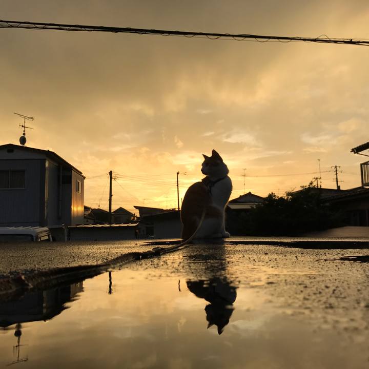 20b550a8 5225 4191 b2a6 752e21462cb0