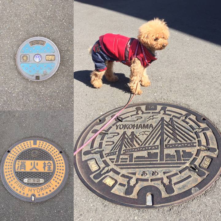 20b5b5bc 8b25 4f85 a6d8 5d35c57d0a5e