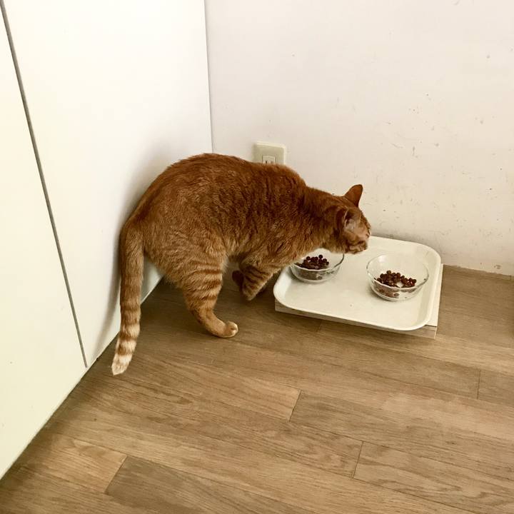 20b60d69 ed59 401c ba27 4736f5ce5c37