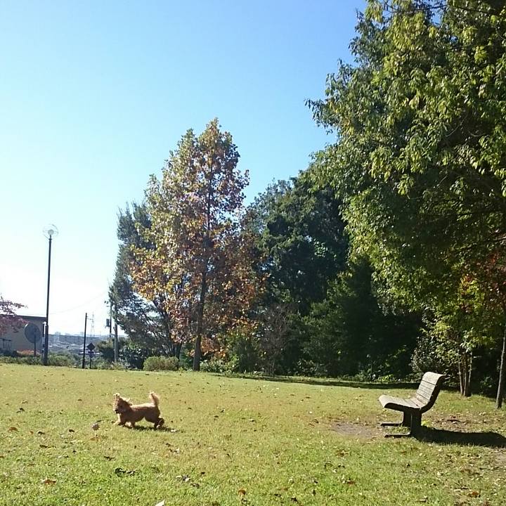 20b60dfb 96d0 422e 9aea 40d7e8403a61