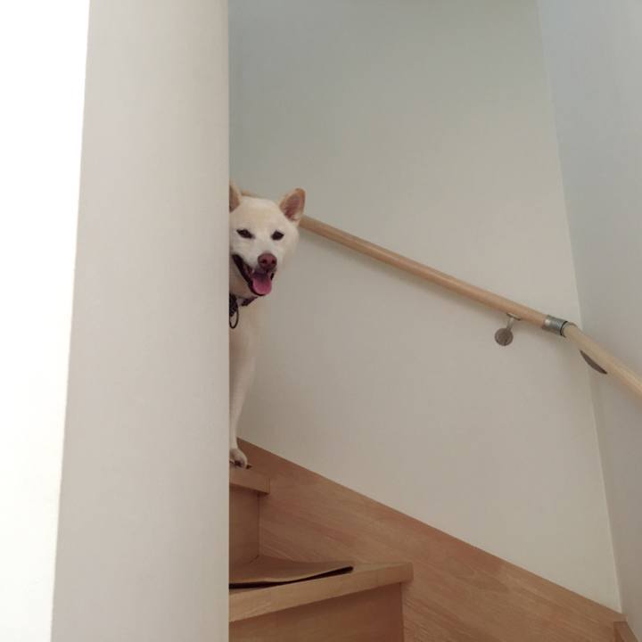 20b6277b 30fb 432c 9ad8 46ddb2110ca2