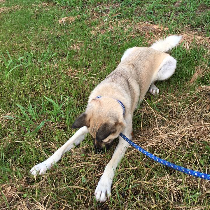 20b64f6a 237d 46ea 92ff 77a0e8623e97