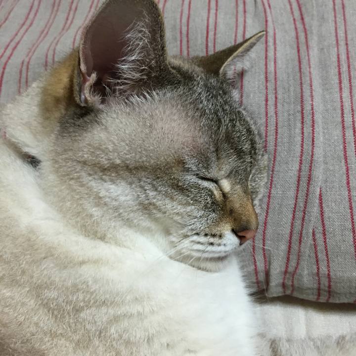 20b70364 71fe 49f4 bfc7 849e4579c49c