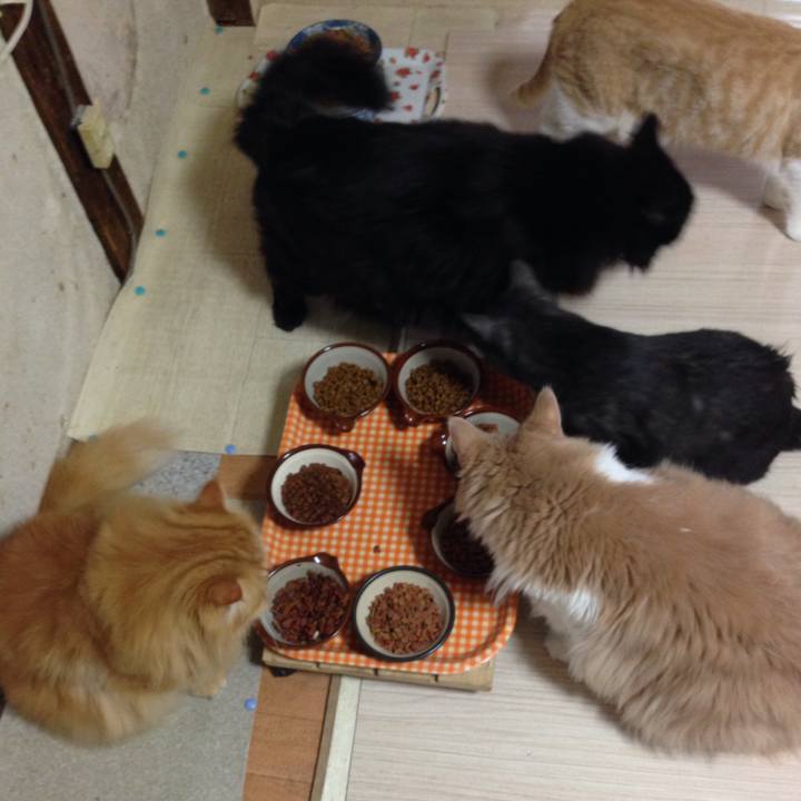 20b75d6b e623 4d59 acca 9453a8fa50f3