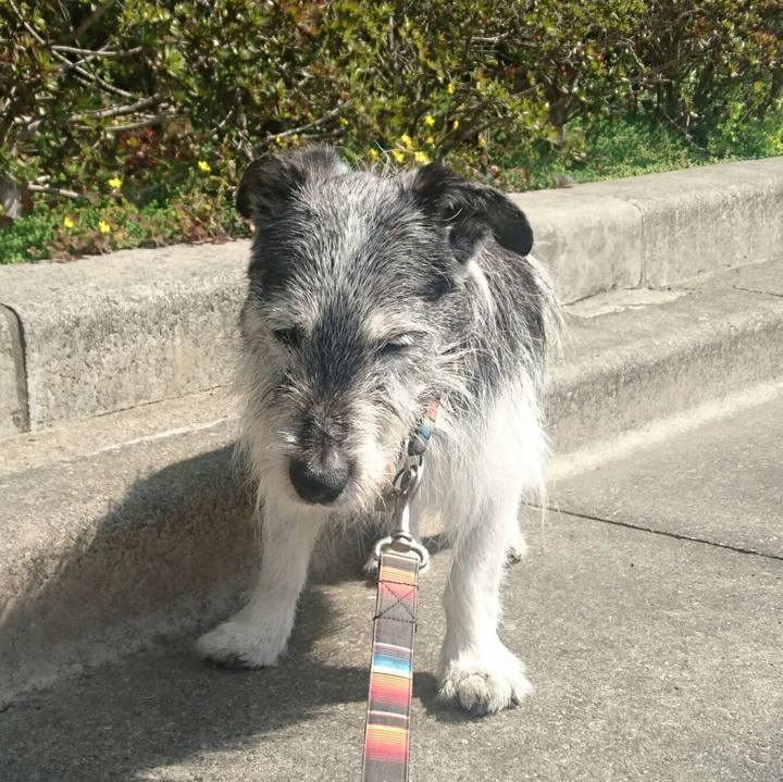 20b7b33b c8d5 4835 bcc4 97dfea7319bc