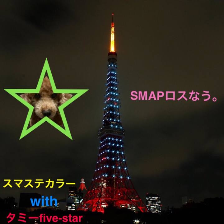 20b7cb88 f5c1 4cb6 ada4 cf0ebe5494f8