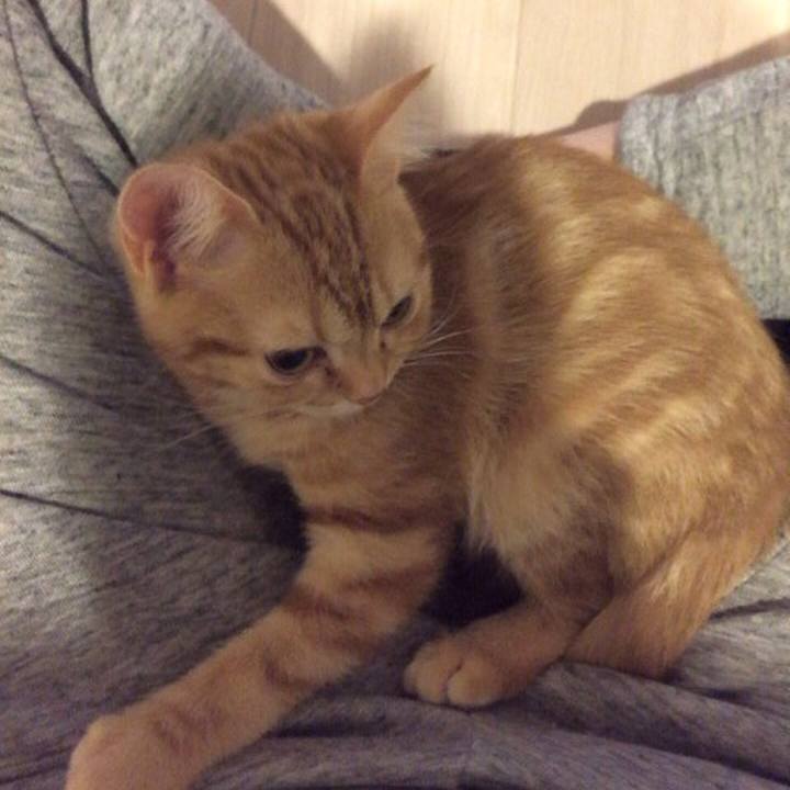 20b8c427 5706 4f71 96d7 452dcd1f0af7