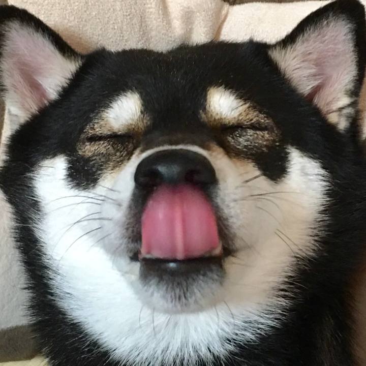 20b9940b 1283 4ac8 b5dd a90fdb228ae0