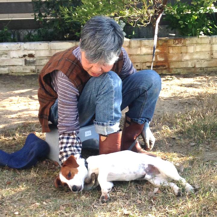 20b9dd0b 26d8 4f8a 8c41 19371e898625