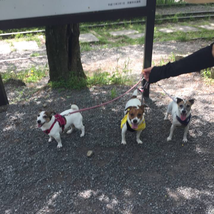 20ba2624 fa01 4d94 b3df 35cb1530f5f0