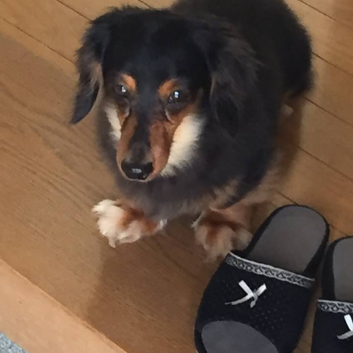 20ba79ed cce5 4d3b 86e1 25fbc02f79db