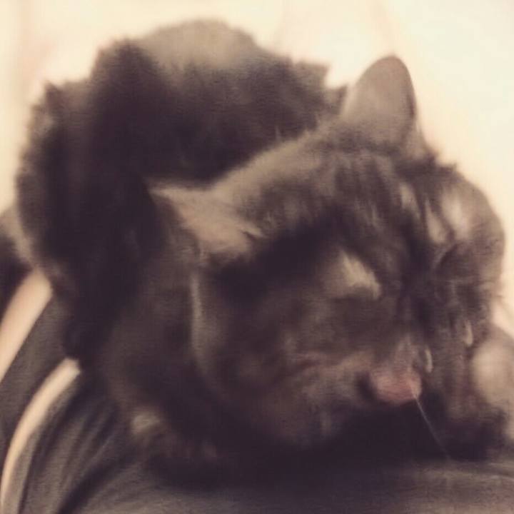 20baef00 1a62 43fe 9396 043971487ad9