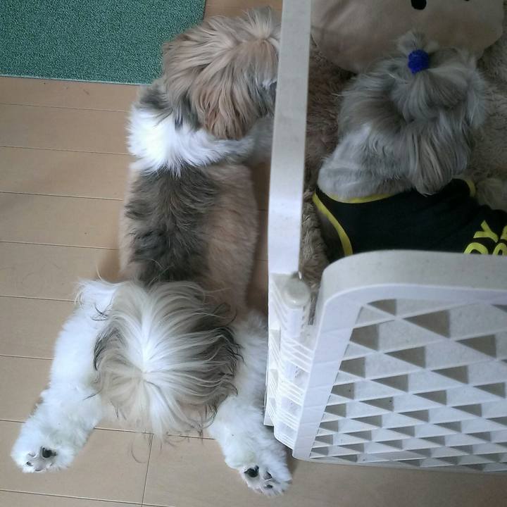 20bb016a f60d 4513 9aed 4c5efcf5d106