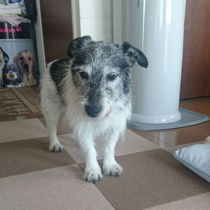 20bb180b bb2e 4bd1 8125 5f7673a0e1ac