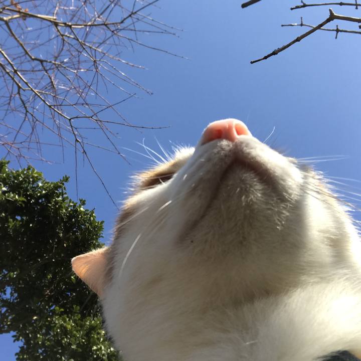 20bb1ef2 62cf 4e49 8f1b e4084e45bbbf