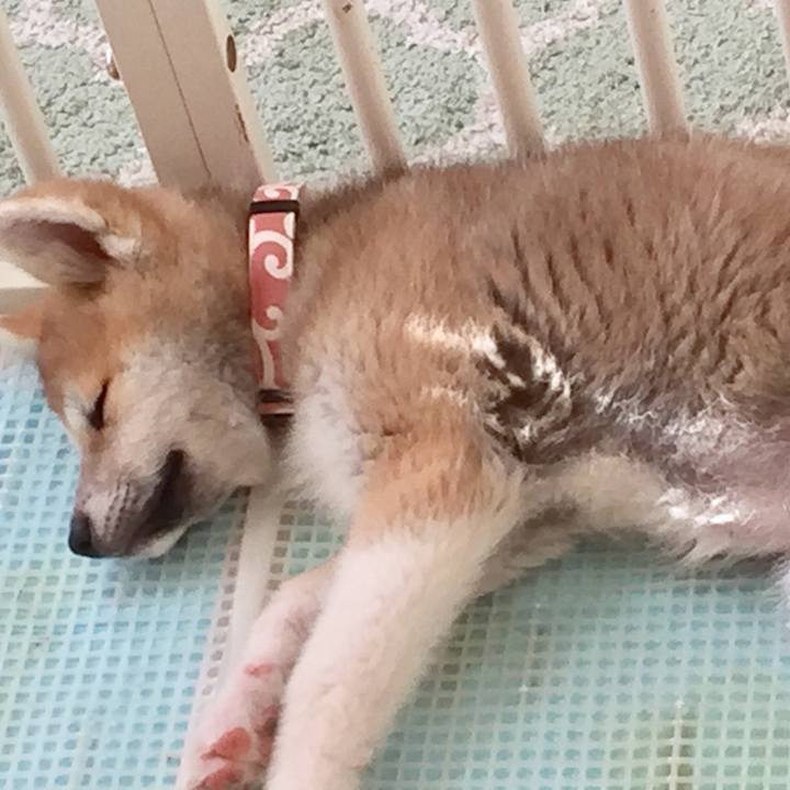 20bb35df 8628 485c ab66 7276ba064252