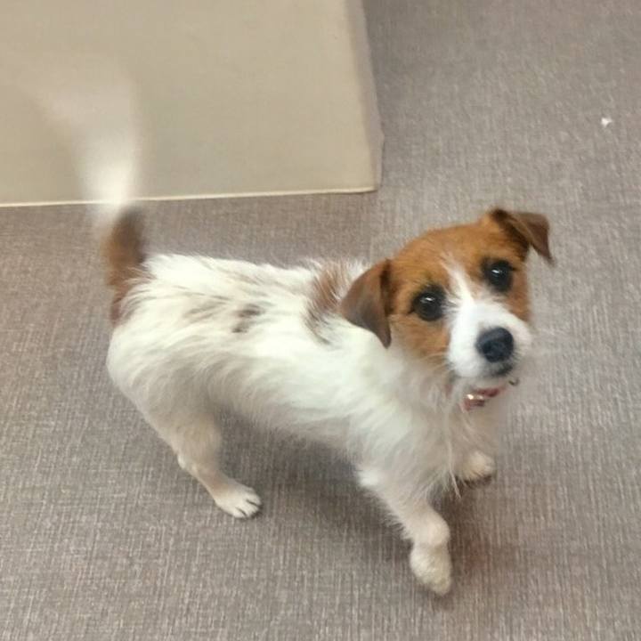 20bbb603 1bb9 4fbd b6b3 fddc993f9f7f