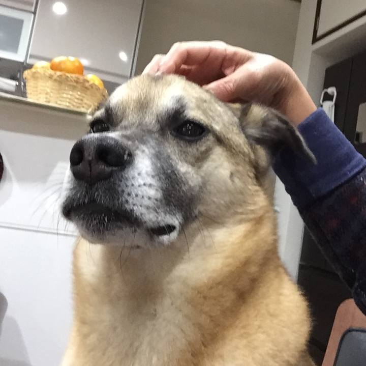 20bc6d9e cb46 4b03 b2ad b77756d14a4e