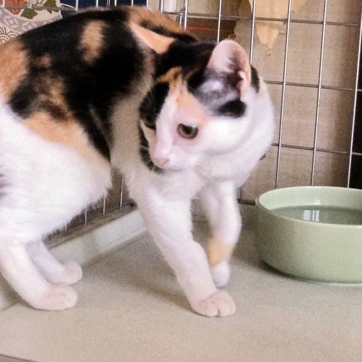 20bc7fa8 062e 4631 8b2b 24846a42384a