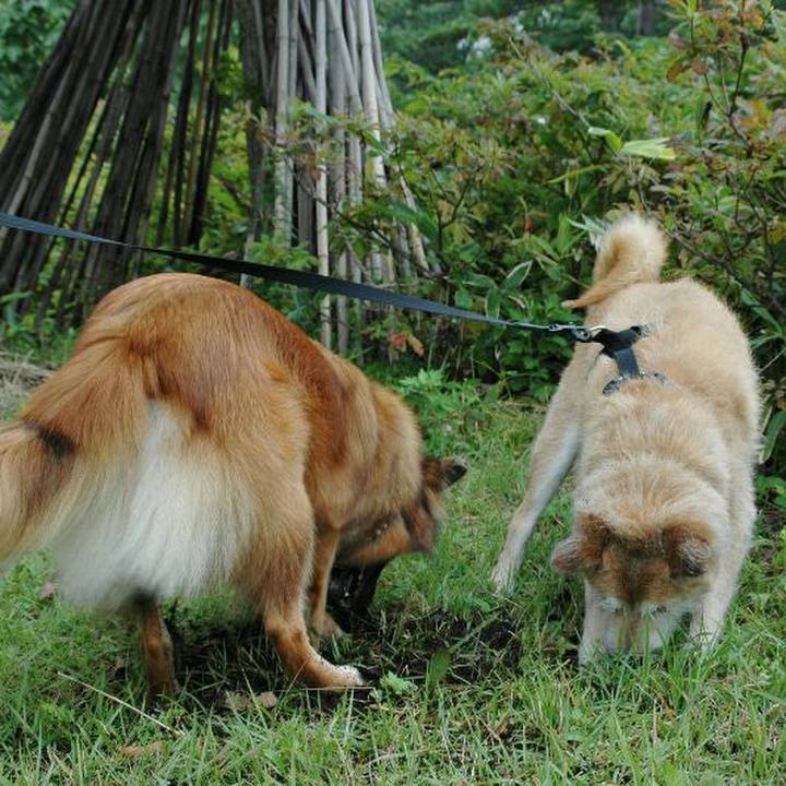 20bcf0c0 bb8e 4897 94ce 3af168f80ede