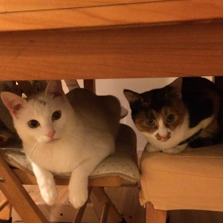 20bcf134 1728 4fb9 a055 0ea7a3660b6c