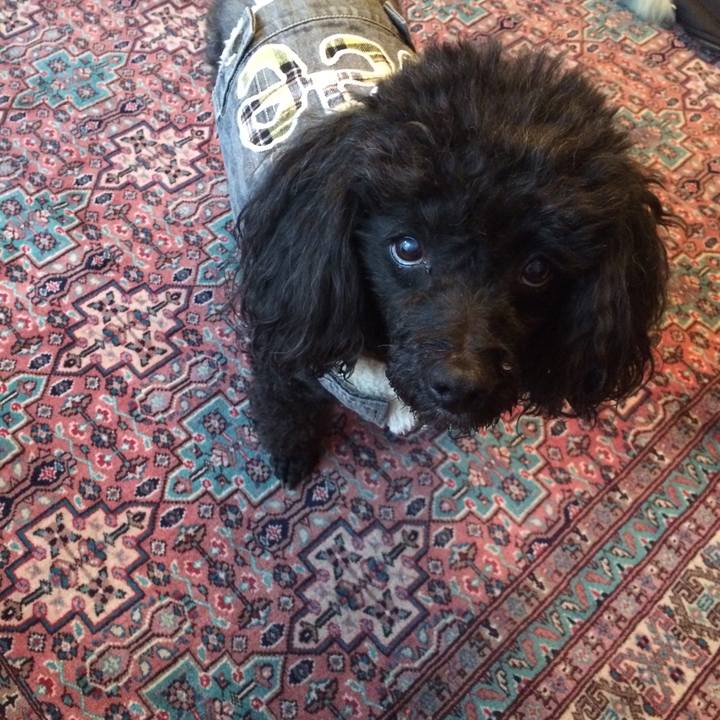 20bcfe08 9435 42db 9f67 a34519f5a61c