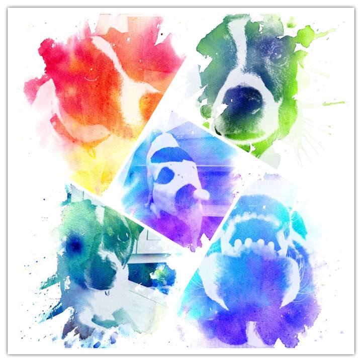 20bd029e 67f1 4122 aa9e 0b12750f45c8