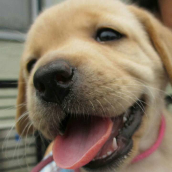 20bd392e c969 4ca0 a973 5a43df069550