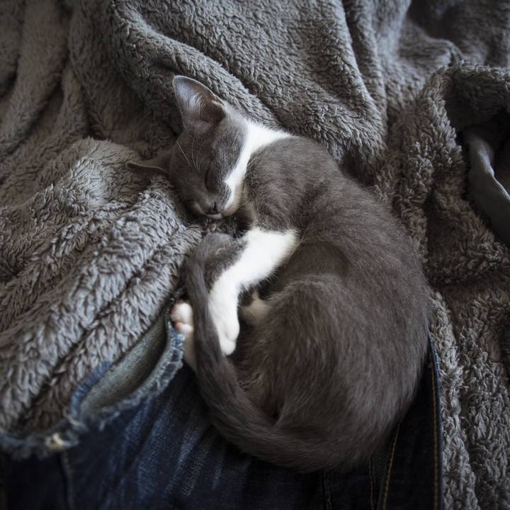 20bd511e 7459 4d4a a4a6 c04528f6bd2f