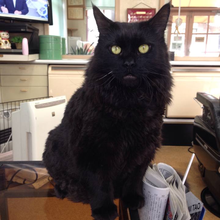 20bdc83e 1503 450b 9c28 63bab721b674