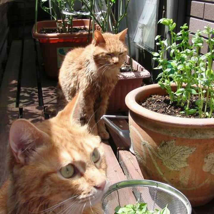 20be6397 b612 43f4 b915 15183eb2ff3a