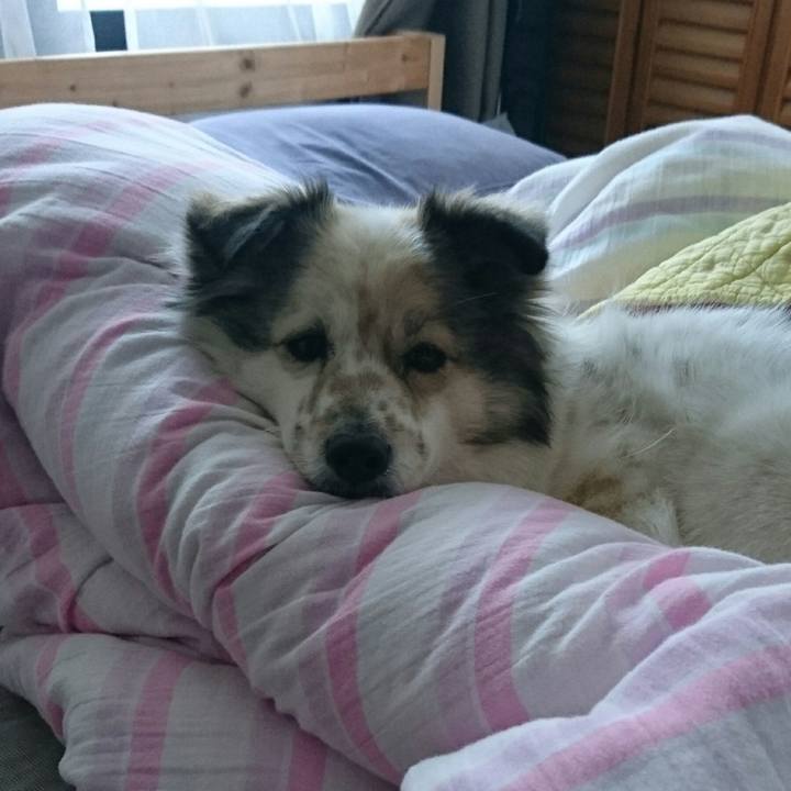 20bea560 81a3 44b5 a619 2767bcd31474