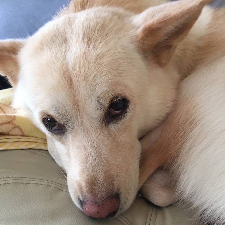 20becb20 a744 40c9 906f 268dde84787d