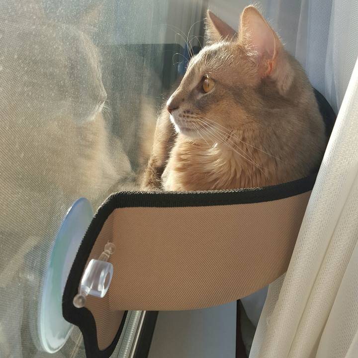 20beec11 f9da 44b0 a30f 47281c759fd3