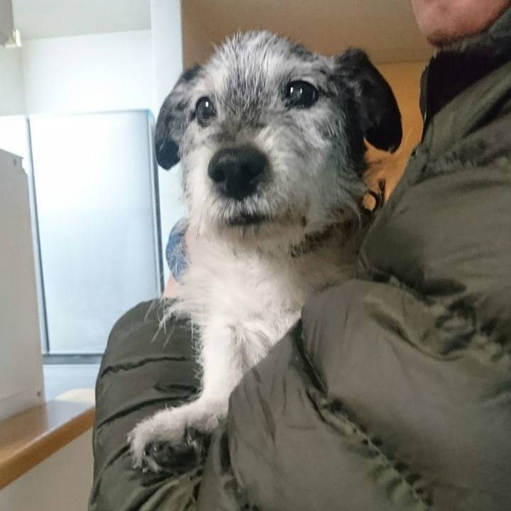 20befb44 9a87 409e 977f 850a48134d0c